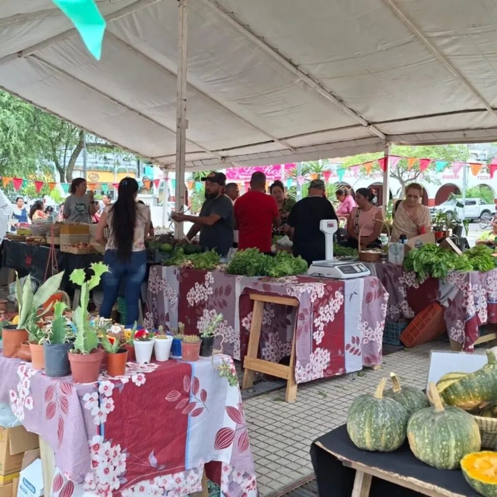 Las Termas: Se llevó a cabo la última edición 2025 de la Feria Itinerante Municipal