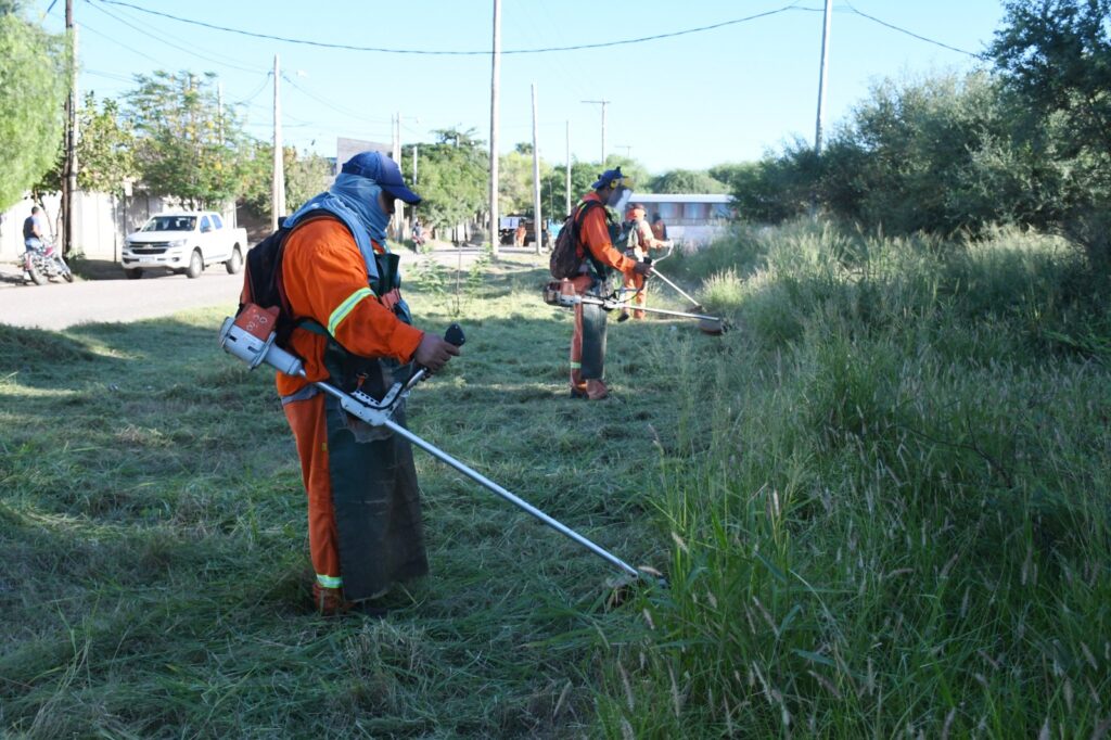 Realizan tareas de desmalezamiento en la zona sur de la ciudad