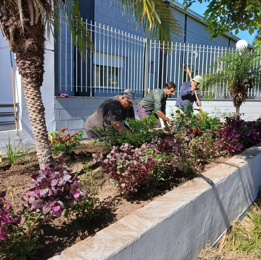 Frías: Destacan el éxito del programa de Forestación Municipal