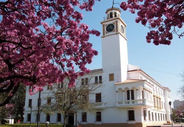 Eliás Suárez anunció un aumento salarial del 42,4% para la administración pública provincial