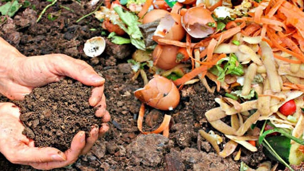 Compostaje: una alternativa sustentablepara reducir la basura domiciliaria