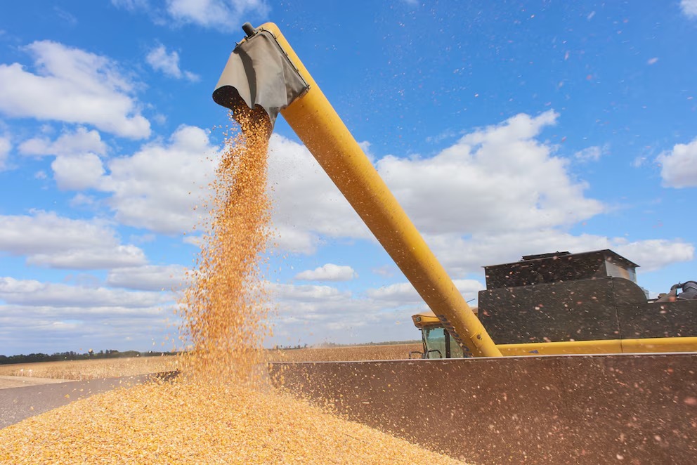 Buscan fortalecer el agro con información, innovación y valor agregado