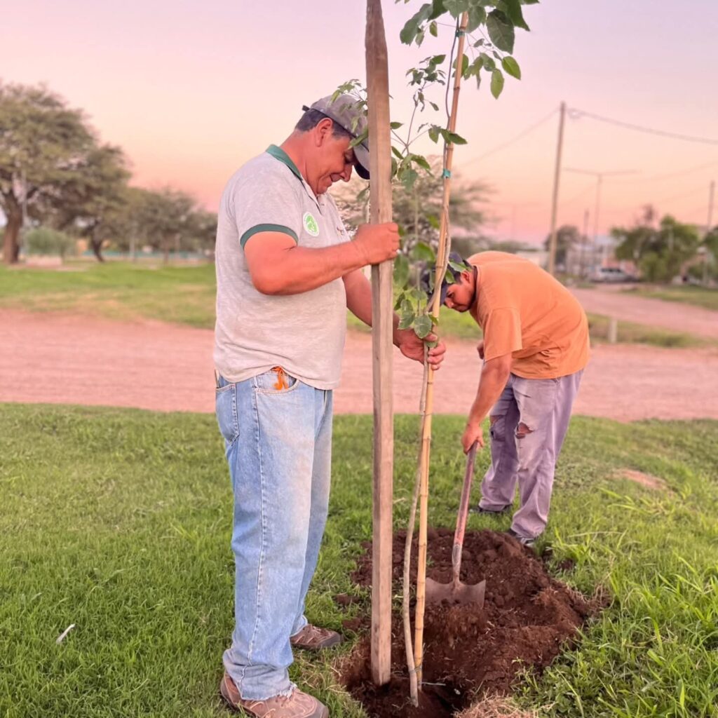 Alumnos de la EFA 8205 realizarán un Censo de Arbolado Urbano en Bandera
