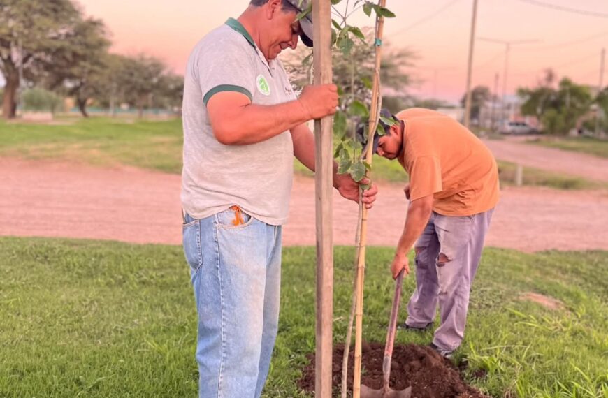 Alumnos de la EFA 8205 realizarán un Censo de Arbolado Urbano en Bandera