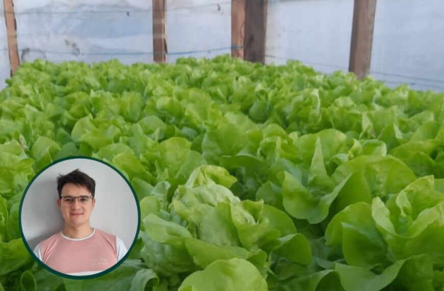 Del balcón al invernadero: el proyecto de un estudiante de la UNSE para producción sin tierra