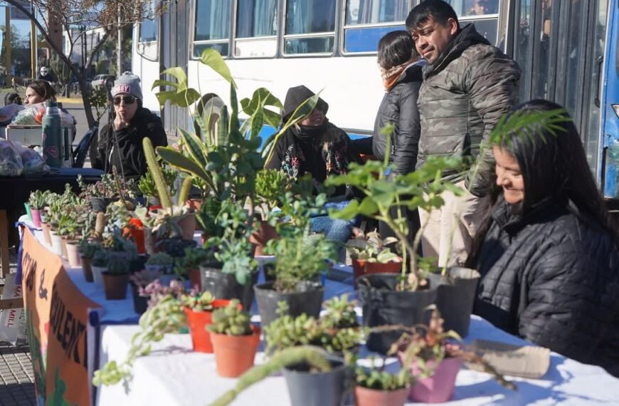 Nueva edición del “Mercadito Saludable” en el Paseo Gabriel Ábalos