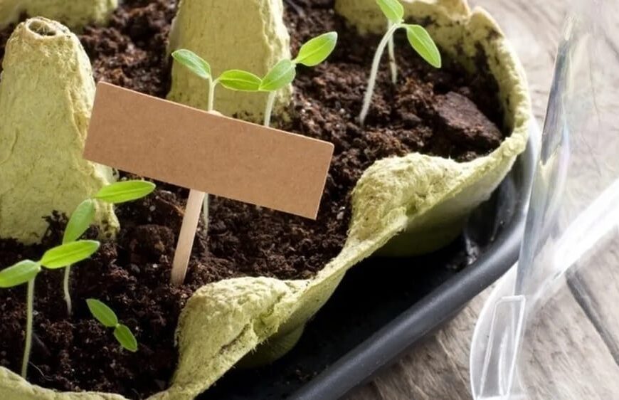 Invitan a participar del taller de elaboración de cuencas ecológicas