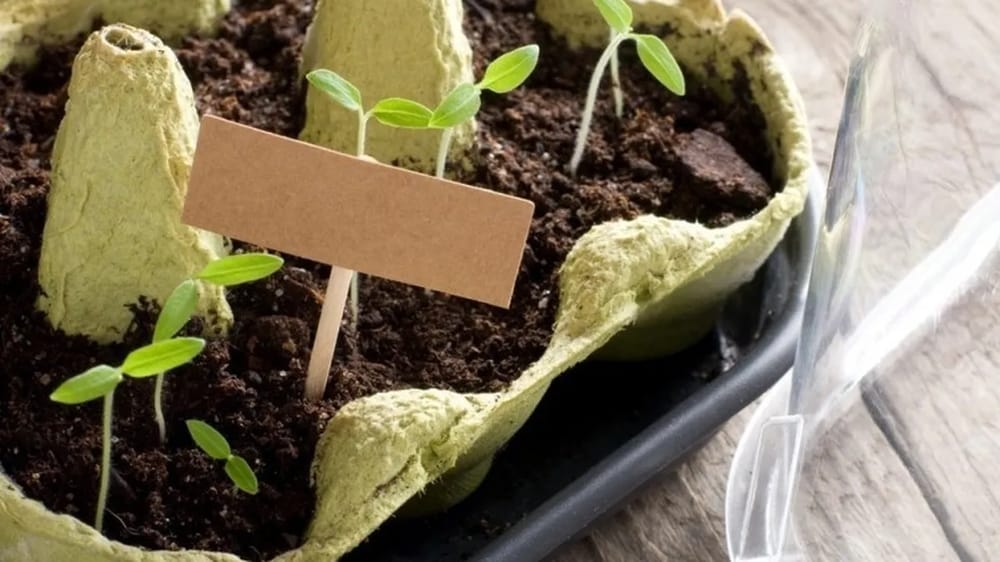 Invitan a participar del taller de elaboración de cuencas ecológicas