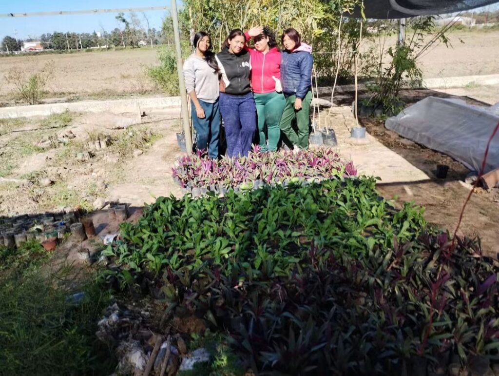 Fernández recibió 720 árboles nativos y avanza en su plan para crear una Reserva Forestal Urbana