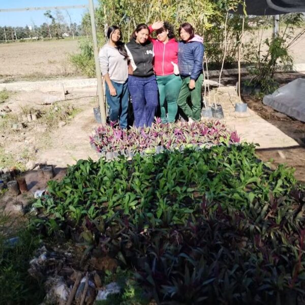 Fernández recibió 720 árboles nativos y avanza en su plan para crear una Reserva Forestal Urbana