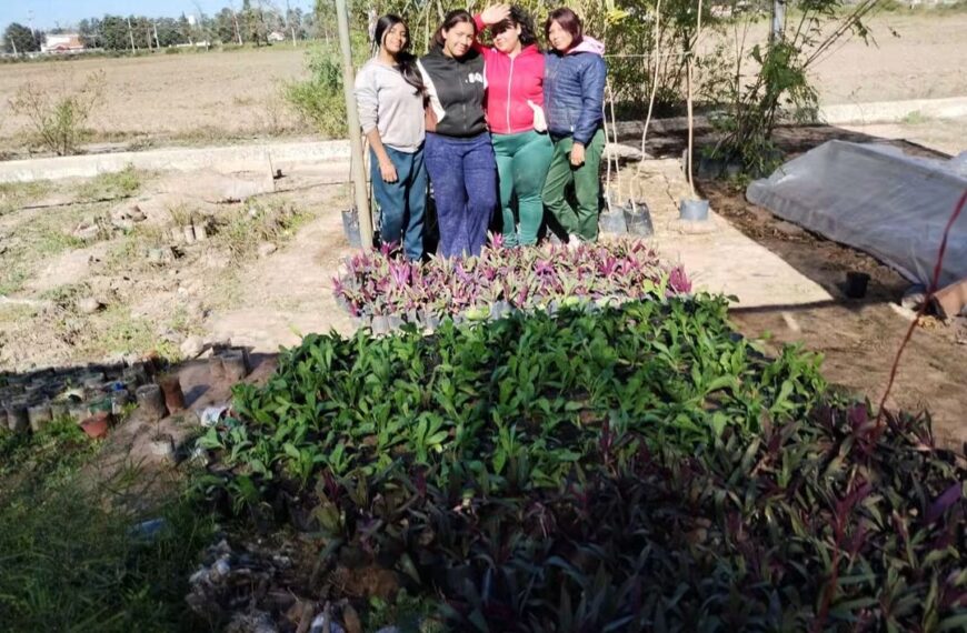 Fernández recibió 720 árboles nativos y avanza en su plan para crear una Reserva Forestal Urbana