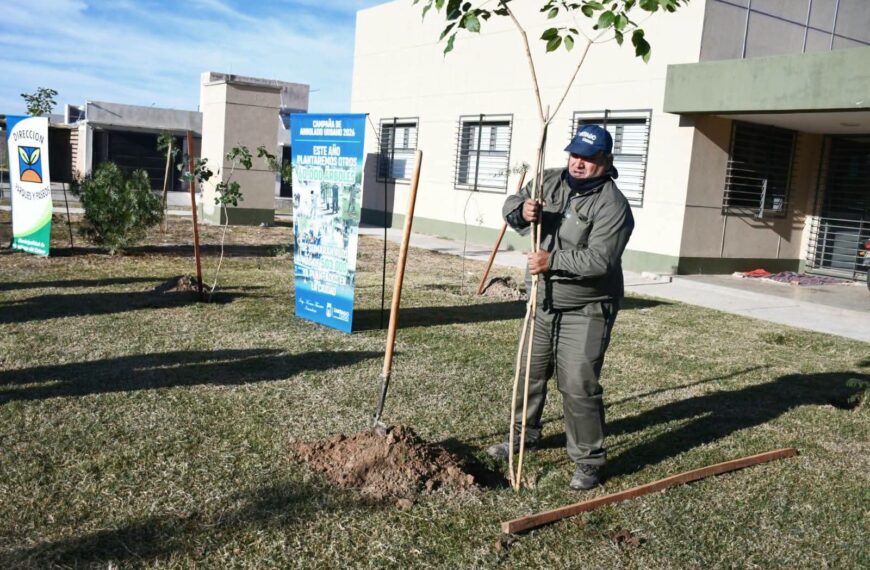 Lanzaron la campaña de Arbolado Urbano 2026 que plantará más de 60.000 ejemplares