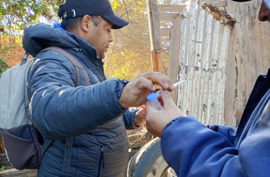 Controles focales y relevamientos para la prevención del dengue en el barrio San Carlos
