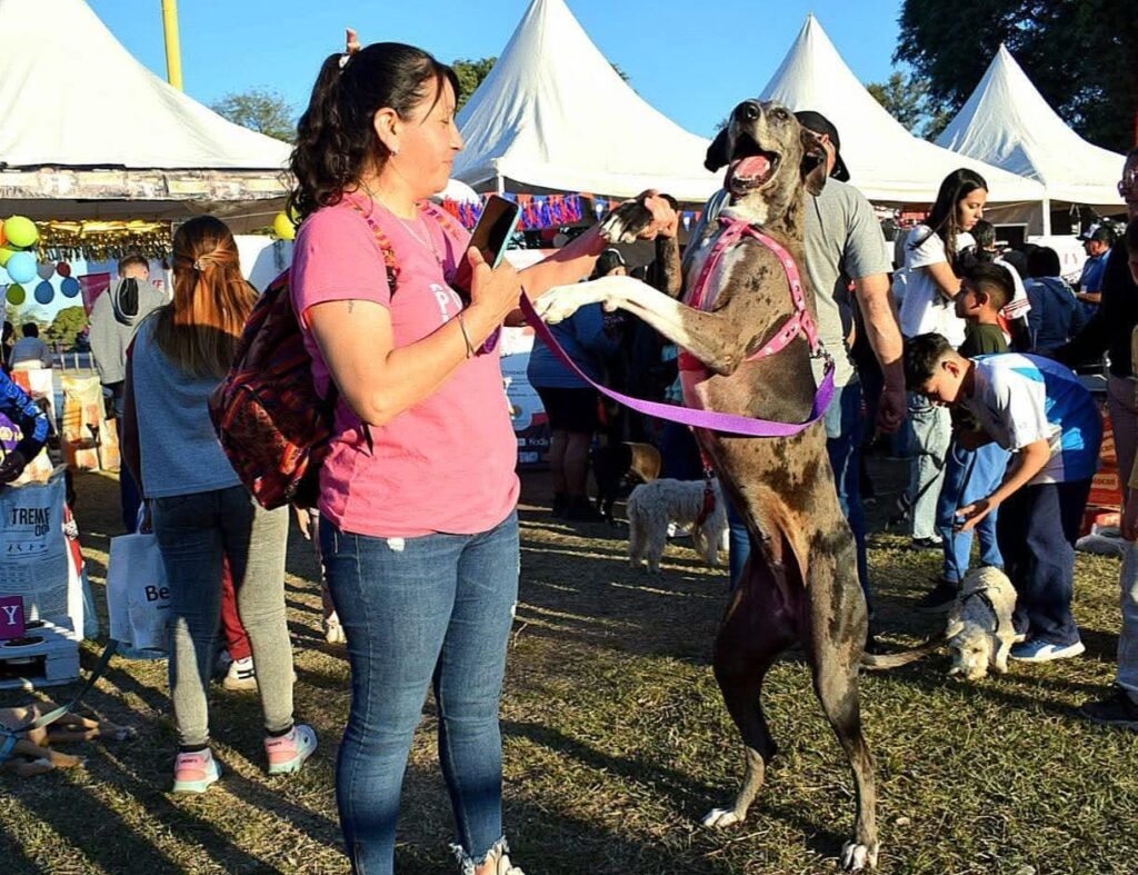 La Banda promocionará la tenencia responsable de mascotas La Banda promocionará la tenencia responsable de mascotas