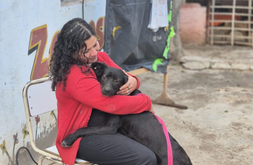 Las Termas: Realizaron una nueva jornada gratuita de castración de mascotas