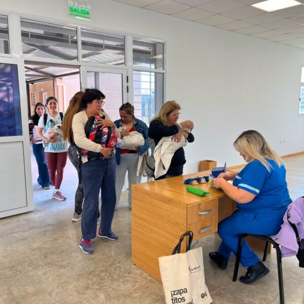 Continúa el programa de castraciones gratuitas de mascotas en Capital
