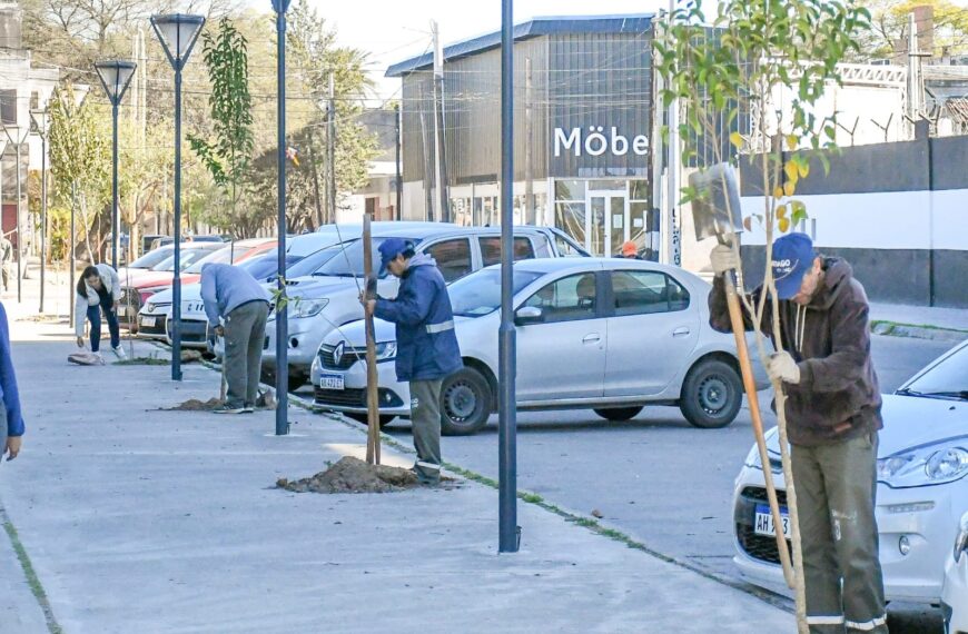 La Capital continúa la Campaña de Arbolado Urbano con plantaciones en el barrio Congreso