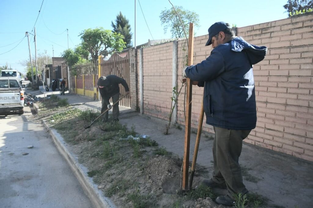 Comenzó la plantación de más de 2.200 árboles en el barrio John Kennedy