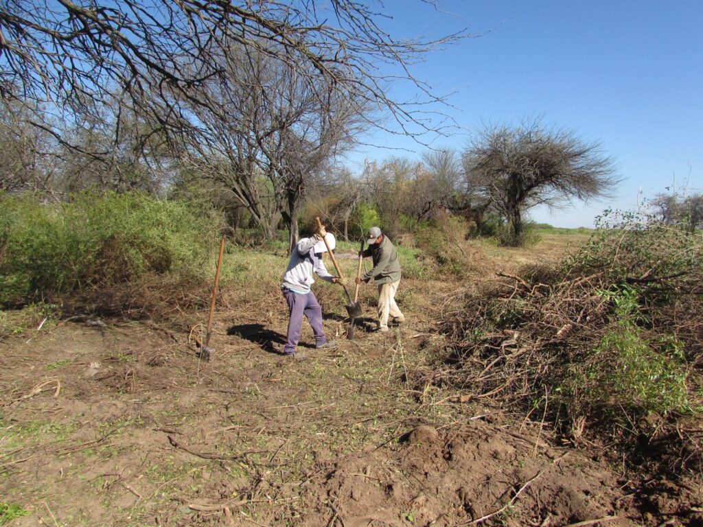 Colonia El Simbolar refuerza su sistema de drenaje con la apertura de nuevos desagües Colonia El Simbolar refuerza su sistema de drenaje con la apertura de nuevos desagües