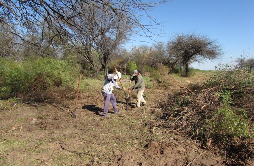 Colonia El Simbolar refuerza su sistema de drenaje con la apertura de nuevos desagües