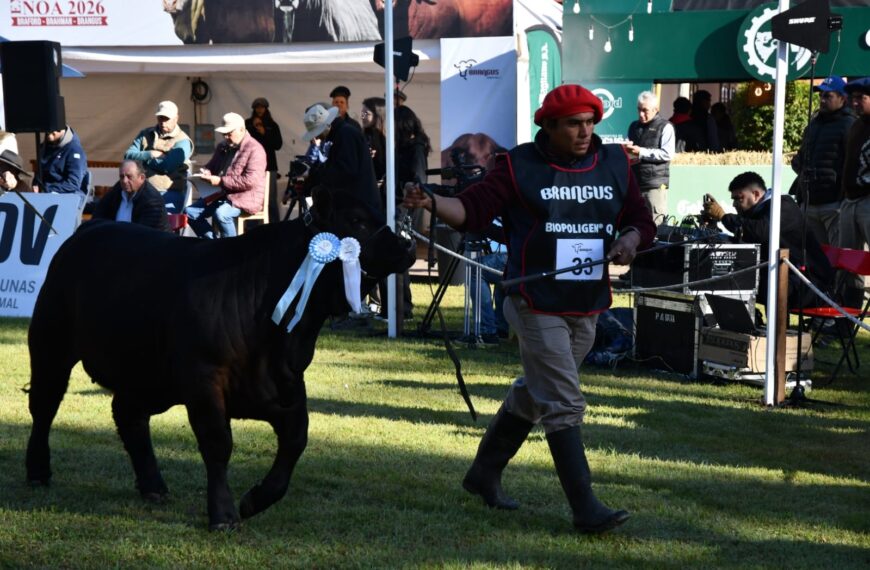 Ya está en marcha la nueva edición de ExpoBra con más de 400 animales y 80 cabañas