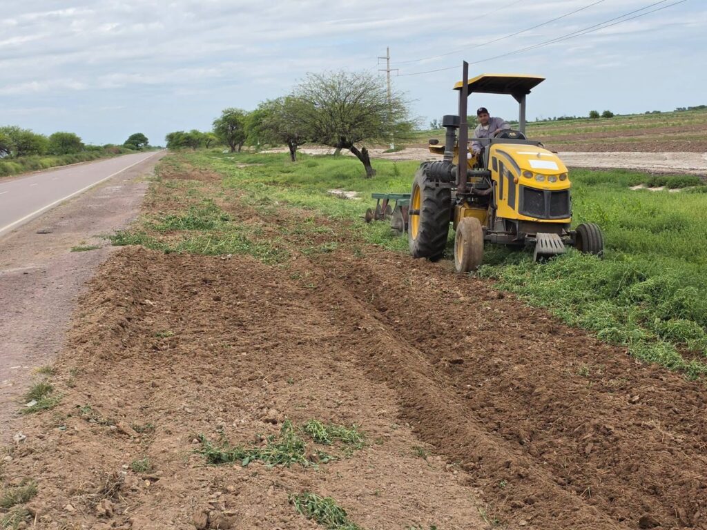 Realizan trabajos de limpieza y desmalezado para mejorar la seguridad en el acceso a La Cañada
