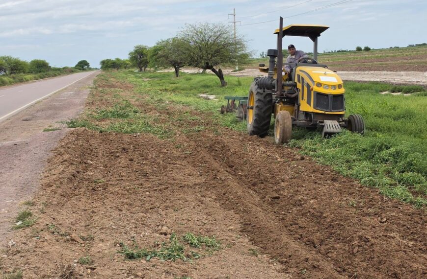 Realizan trabajos de limpieza y desmalezado para mejorar la seguridad en el acceso a La Cañada