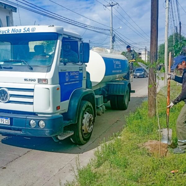 Forestación: Plantaran más de 3.600 árboles en el barrio Primera Junta