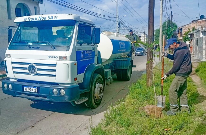 Forestación: Plantaran más de 3.600 árboles en el barrio Primera Junta